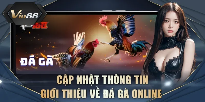Cập nhật thông tin giới thiệu về đá gà online